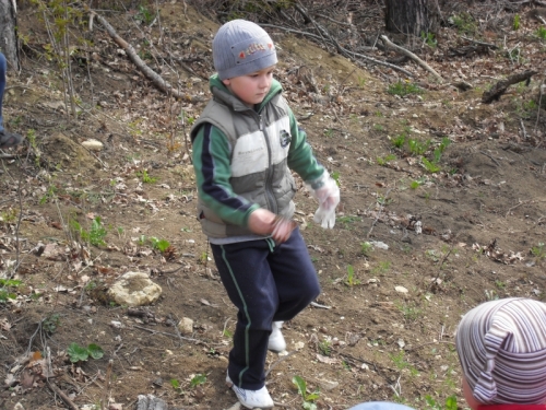 201204271048490.de_zeme_15