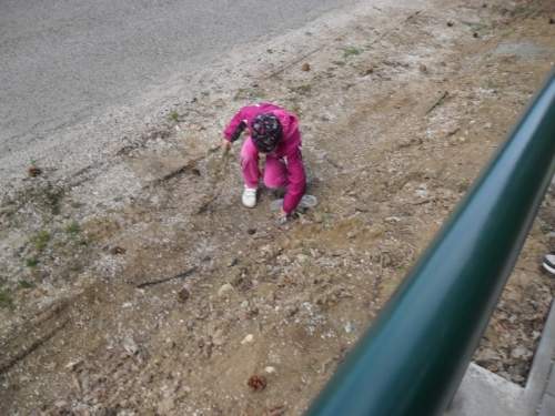 201204271048490.de_zeme_22