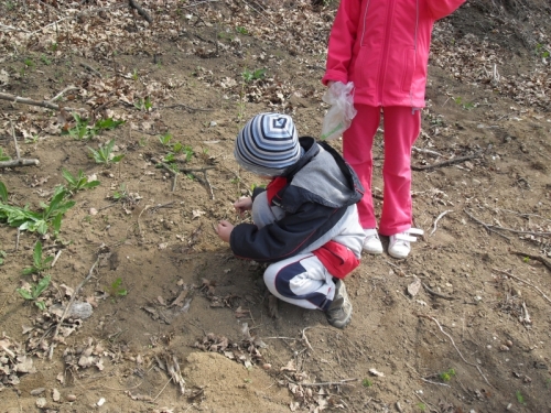 201204271048490.de_zeme_30