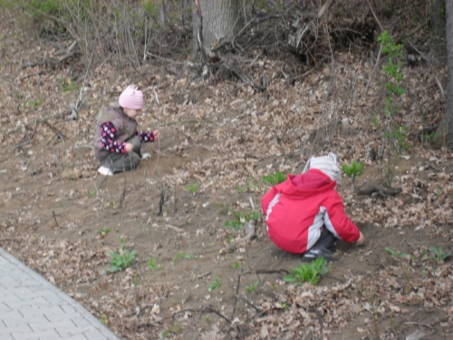 201204271102260.de_zeme_23