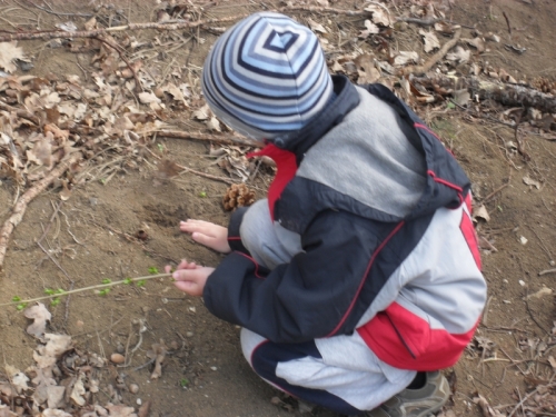 201204271102260.de_zeme_24