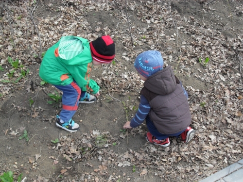 201204271102260.de_zeme_26