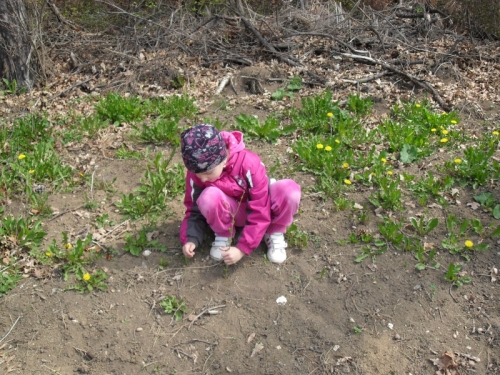 201204271102260.de_zeme_33