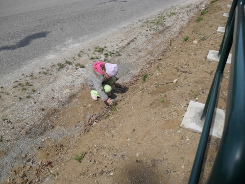 201204271102270.de_zeme_20