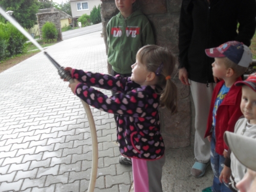 201206041517010.de_dei_hasici_153