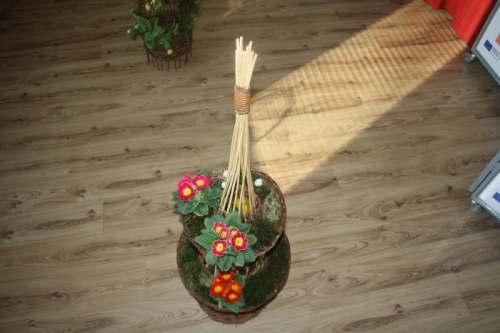 201303261001120.img_1386