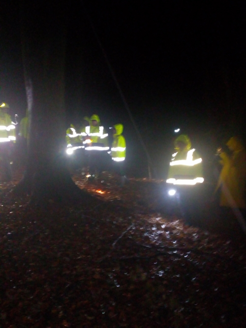 201801180935370.img_20161119_181747