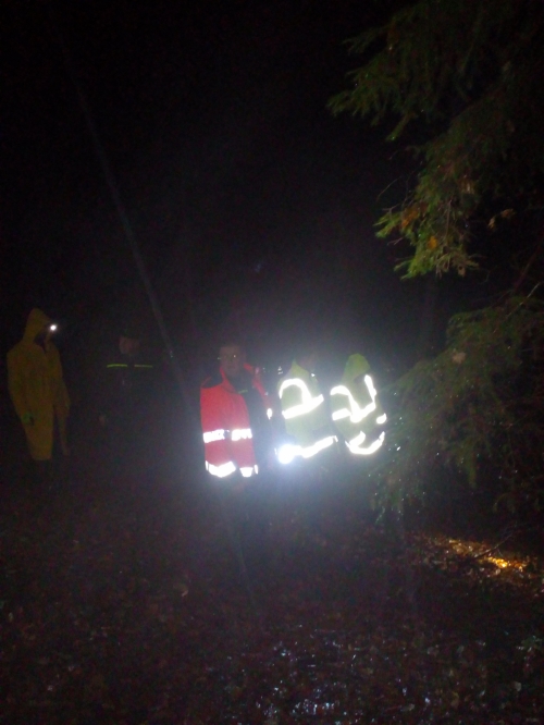 201801180935370.img_20161119_181753