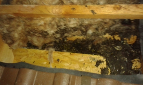 201801180942570.20160823_220604