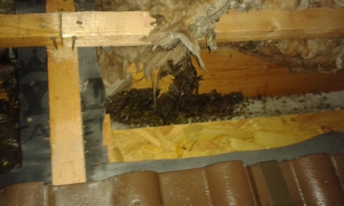 201801180942570.20160823_220613