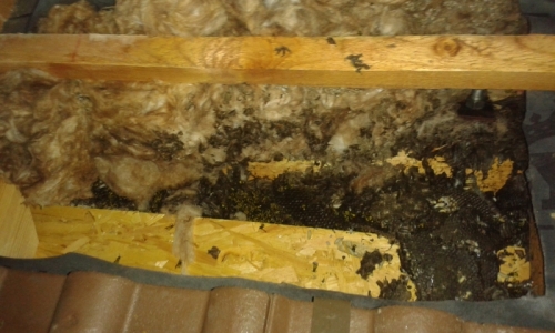 201801180942570.20160823_220622