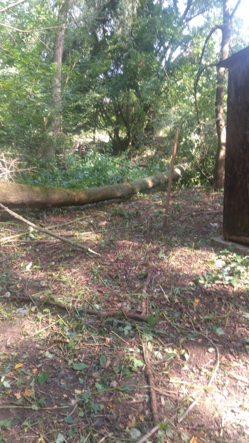 201801181023140.img_20170811_100335