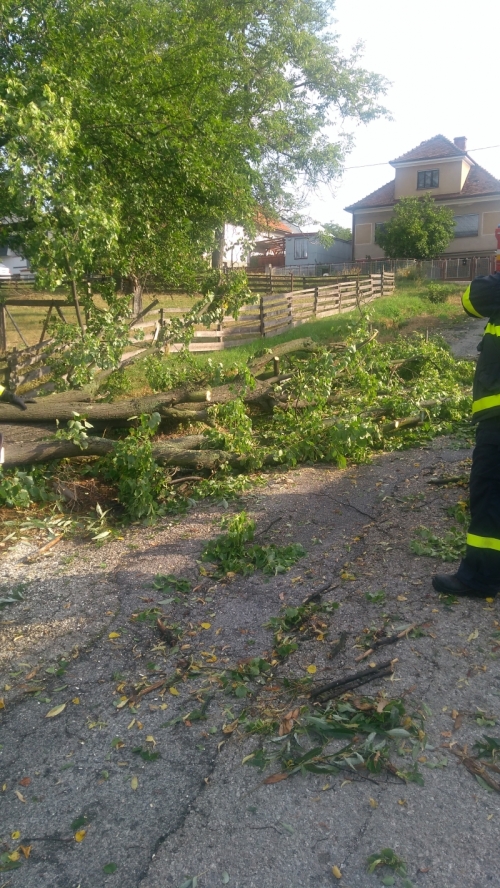 201801181023150.img_20170811_080440