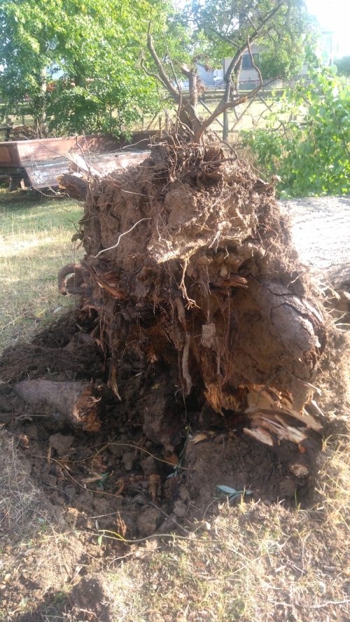 201801181023150.img_20170811_080612