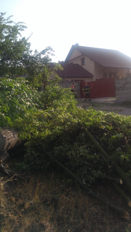 201801181023150.img_20170811_080617