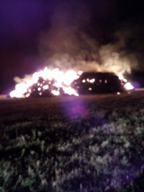 201801181027100.img_20161009_004306