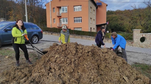 202311131222360.367987768-1331190841097678-8853895834695748784-n