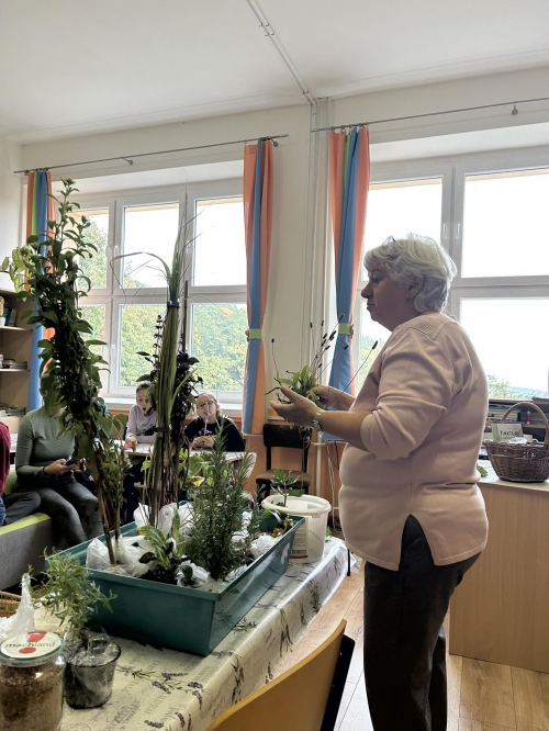 202311131222360.380446174-743233187638172-7171874825647323619-n