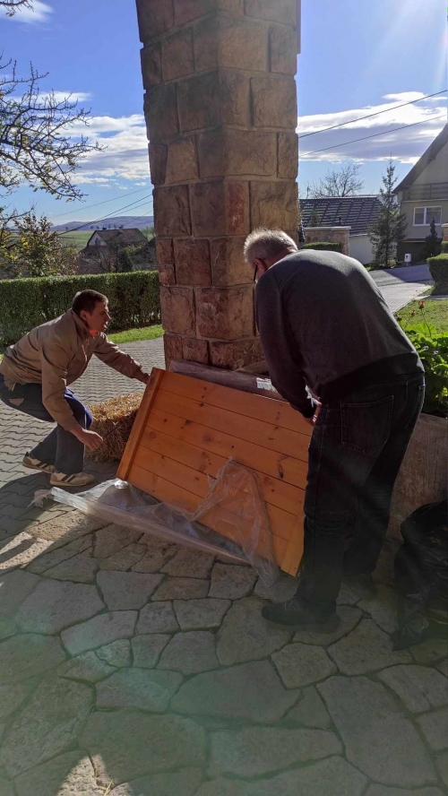 202311131222360.384562878-3865719473714256-3015296598478760541-n