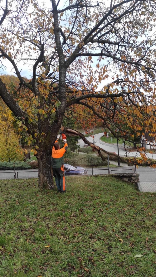 202311131222360.385557038-708193627548462-9131140941008907628-n