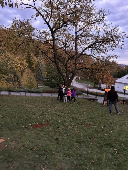 202311131222360.387566101-1446315392598423-2505755620352944300-n