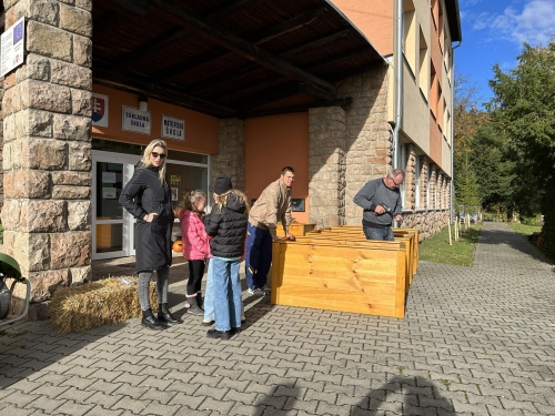 202311131222360.387568289-1280622152654330-7651233649854600938-n