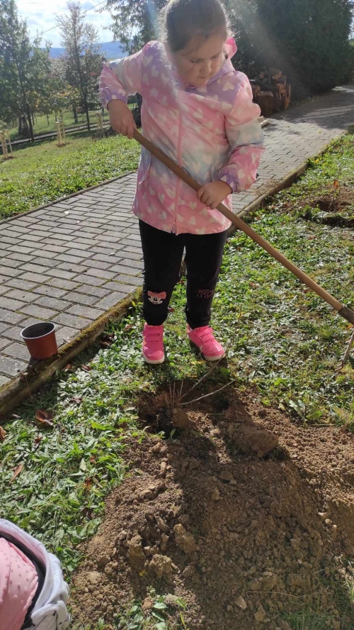 202311131222360.393355602-191799990630291-6292207671403268422-n