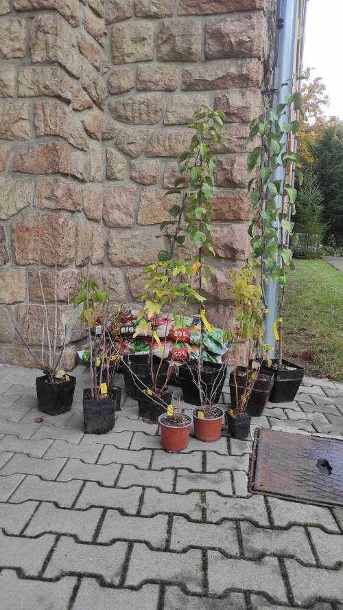 202311131222360.393730821-344762551422024-3198775733292558449-n