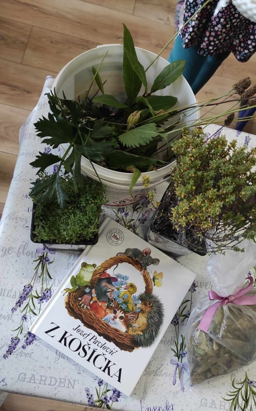 202311131222360.393886236-1111198716862448-8887741796605165243-n