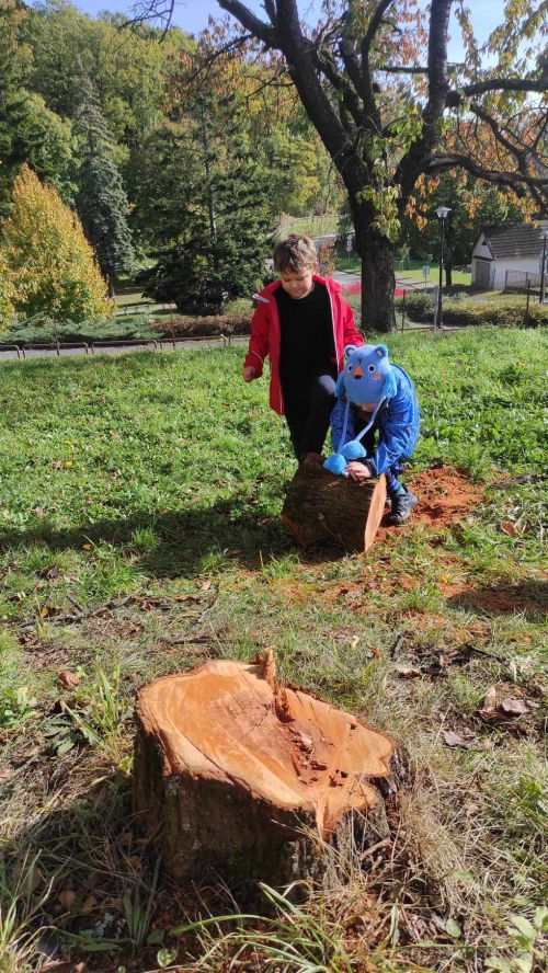 202311131222360.393948383-692297222908374-6391311766754628409-n