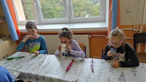 202311131222360.393961503-257694943467304-786885448798176332-n