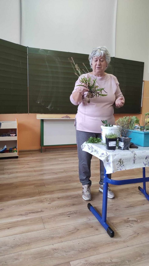 202311131222360.394005643-2116309245371703-6041129344148572379-n