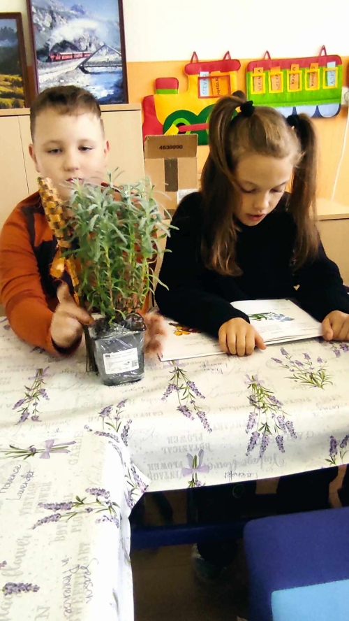 202311131222360.394019021-1306317570047497-3279195327182575526-n