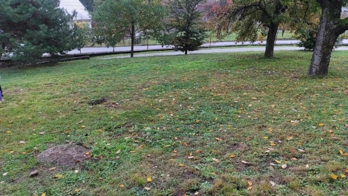 202311131222360.394165736-706217731395502-8802147227869850772-n