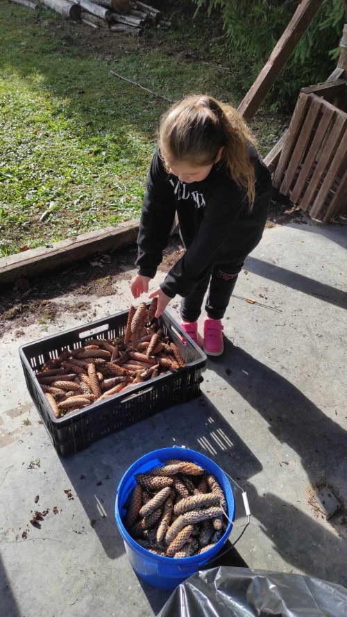 202311131222360.394537190-692991212548074-4305884153445944360-n