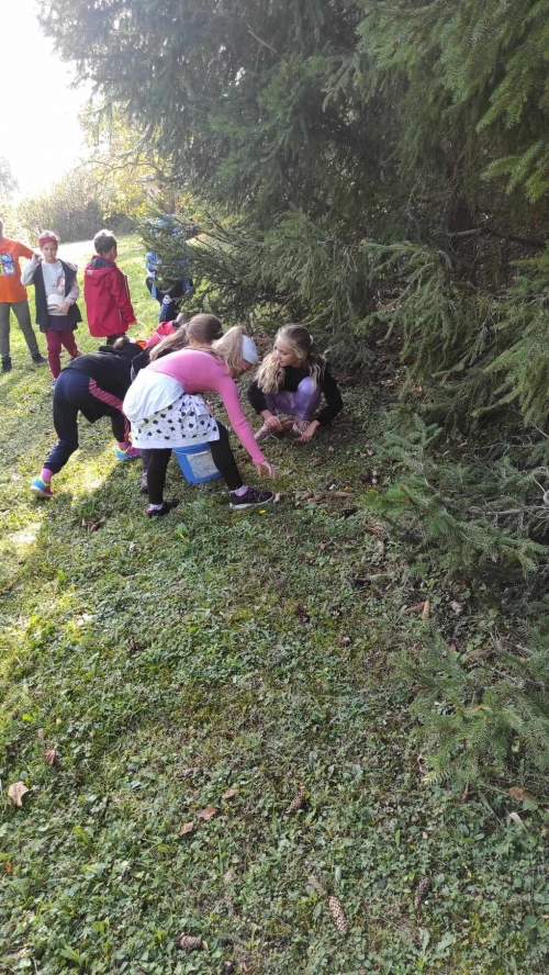 202311131222360.394555446-3611478535755562-7504641382353094193-n