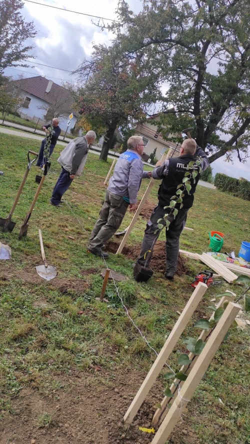 202311131222360.394581480-713132054045297-7356899856904527809-n