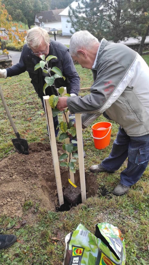 202311131222360.394646418-868680471451509-3734565296968207467-n