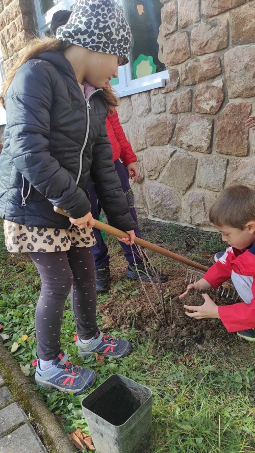 202311131222360.394808633-769494241595619-3296733259436591844-n