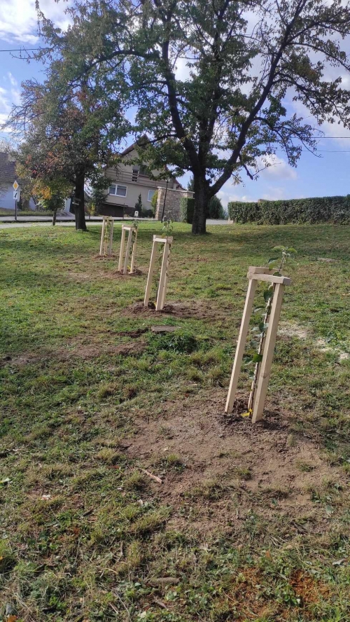 202311131222360.394855410-356156786984549-9070654738140850921-n