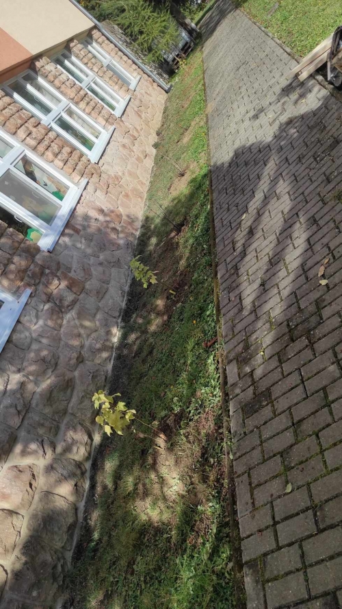 202311131222360.394901032-1389941481960041-7401439195727230503-n