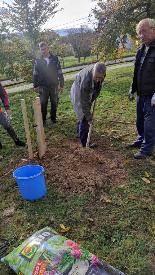 202311131222360.394918548-973639390396407-5826022035715446735-n