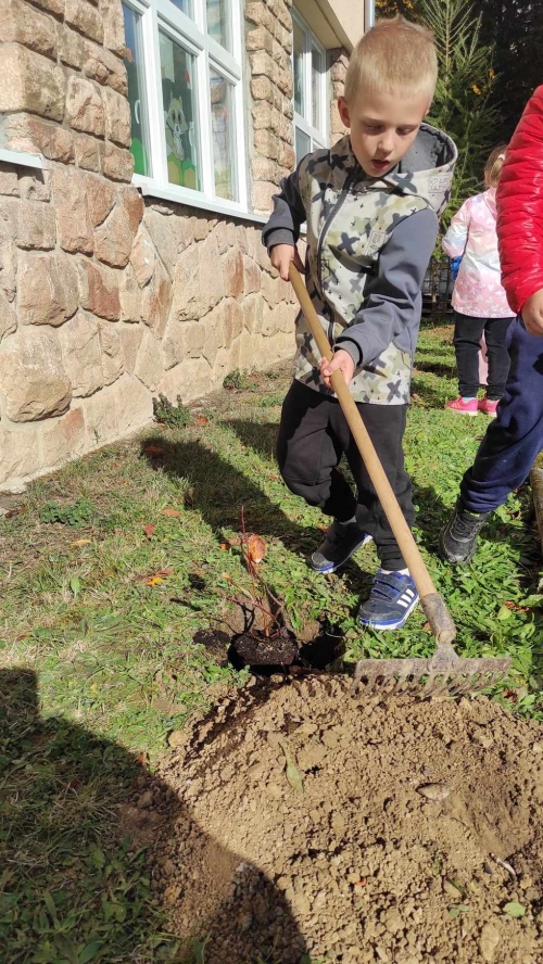 202311131222360.395055085-342045111567764-8318937226965433754-n