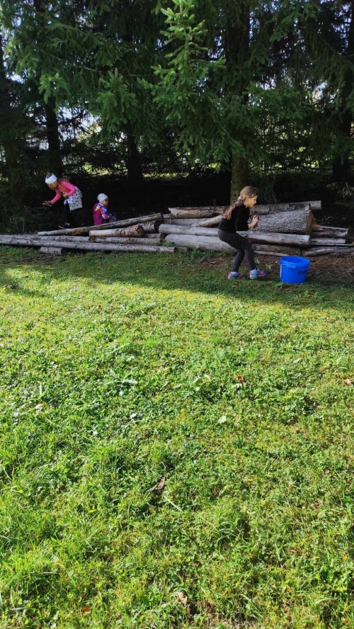 202311131222360.395064855-279076141786872-7868647350885443920-n