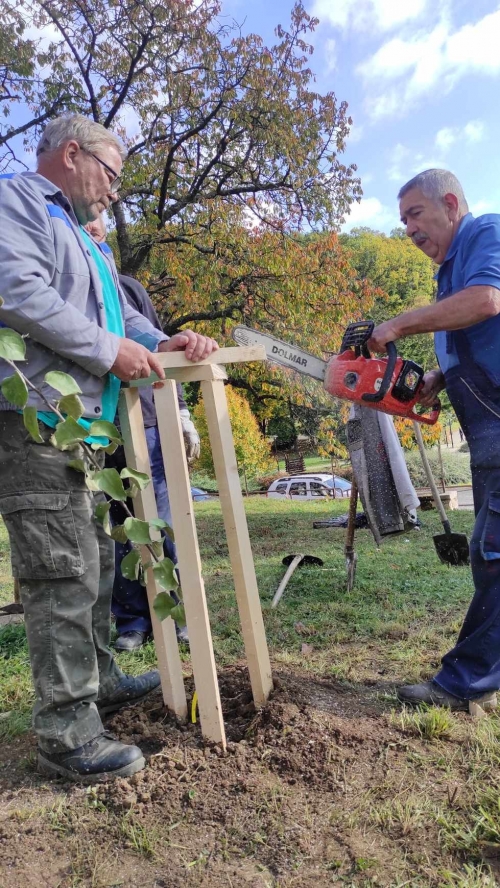 202311131222360.395081956-273824798398234-2188150295101862948-n