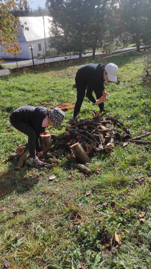 202311131222360.395110294-854551602724028-2907091429706291571-n