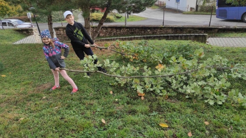 202311131222360.395118748-673531328217525-8482314934141793455-n