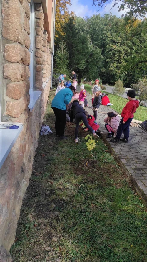 202311131222360.395167445-749606233592374-5815045226527032550-n