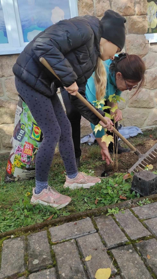 202311131222360.395243370-625729262828044-1523979666925706506-n