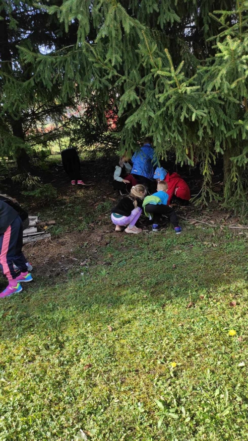 202311131222360.395257257-336565729053728-4363023902168353592-n